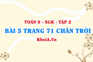 Bài 5 trang 71 Toán 8 Chân trời sáng tạo Tập 2